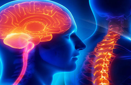 Brain & spinal cord injury